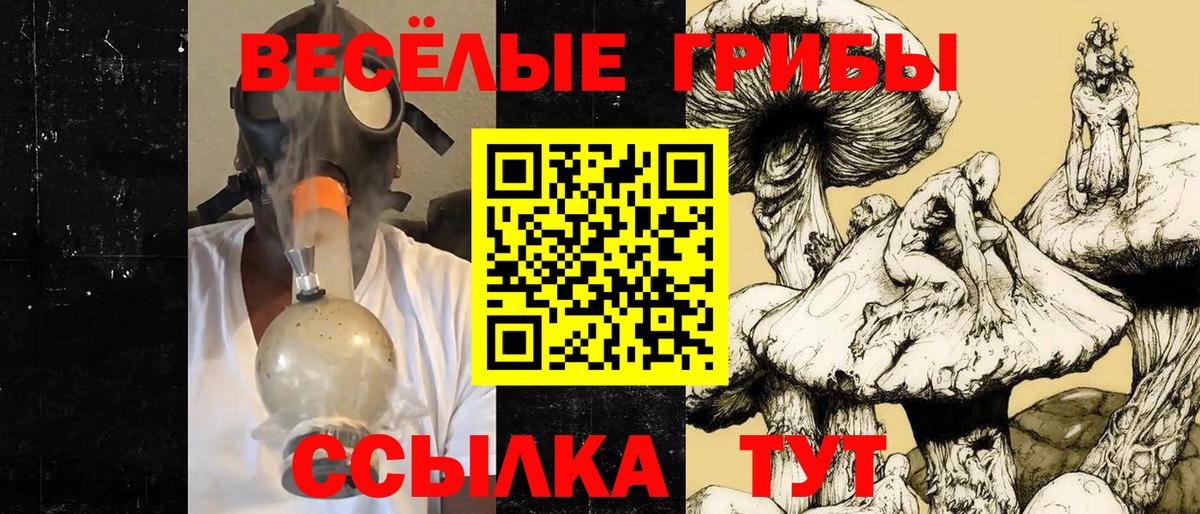 Галлюциногенные грибы прущие грибы Майский
